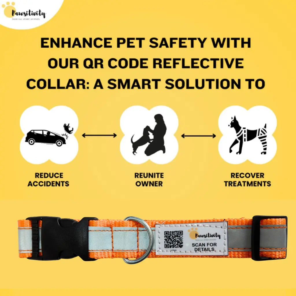  QR Enabled Reflective Dog Collar Pack of 5 | Smart Safety & Visibility Petspalz