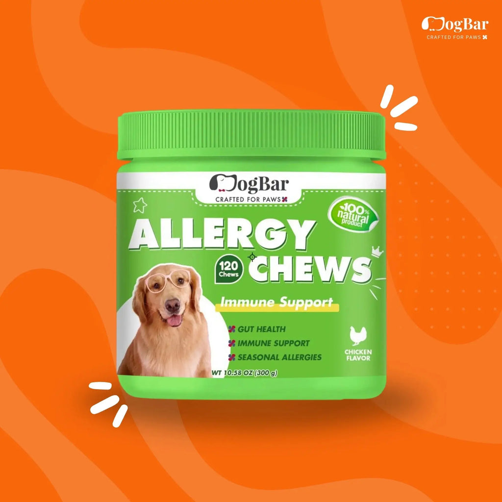  anti allergy chews for dogs : Immune Support Chews, Chicken Flavour Petspalz