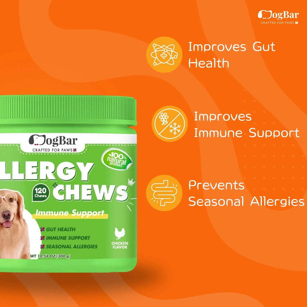  anti allergy chews for dogs : Immune Support Chews, Chicken Flavour Petspalz