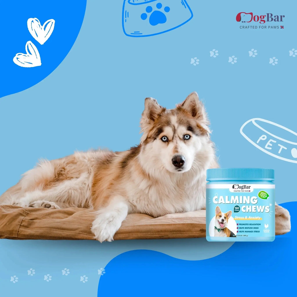  Pets anti anxiety supplements : Calming Soft Chews for Pets Petspalz