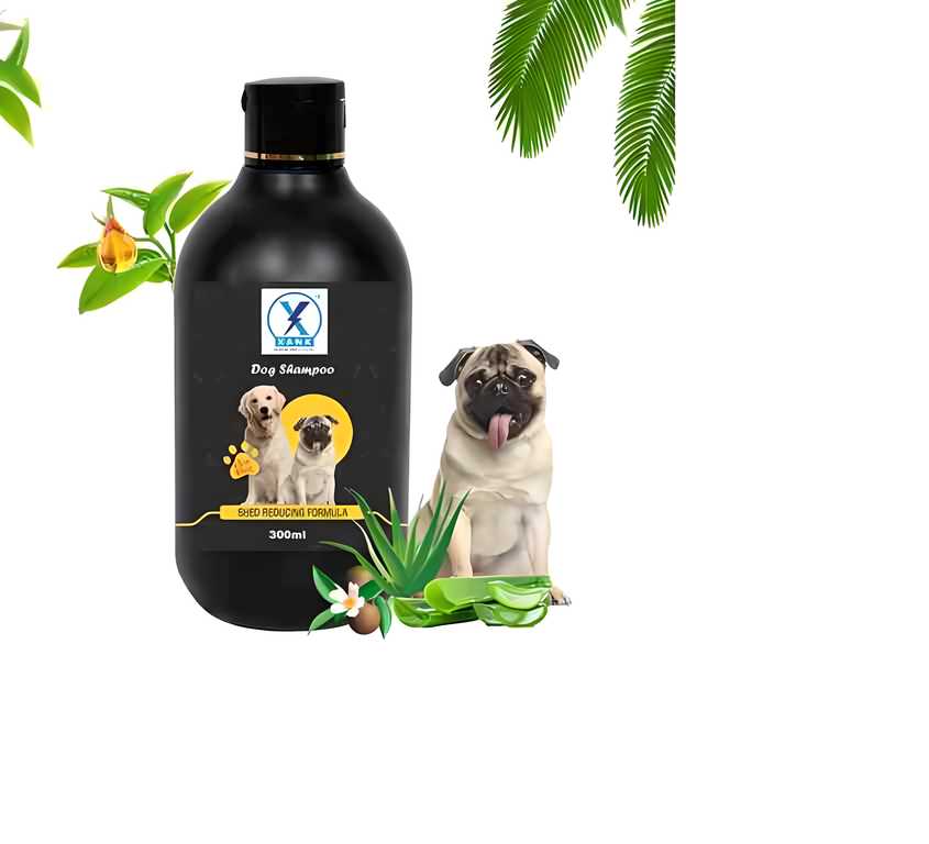  Anti-Itch Dog Shampoo | Ditch to Itch – Soothes Dry, Irritated Skin Petspalz