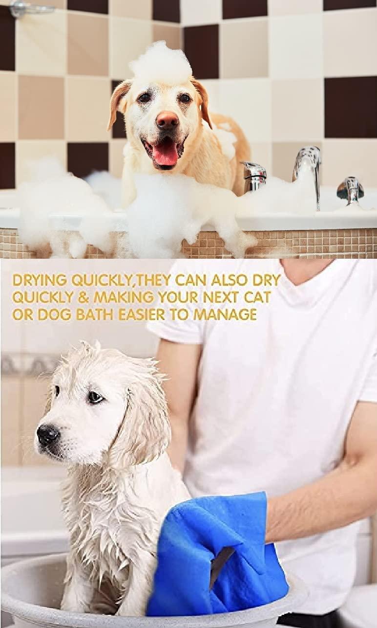  Anti-Itch Dog Shampoo | Ditch to Itch – Soothes Dry, Irritated Skin Petspalz