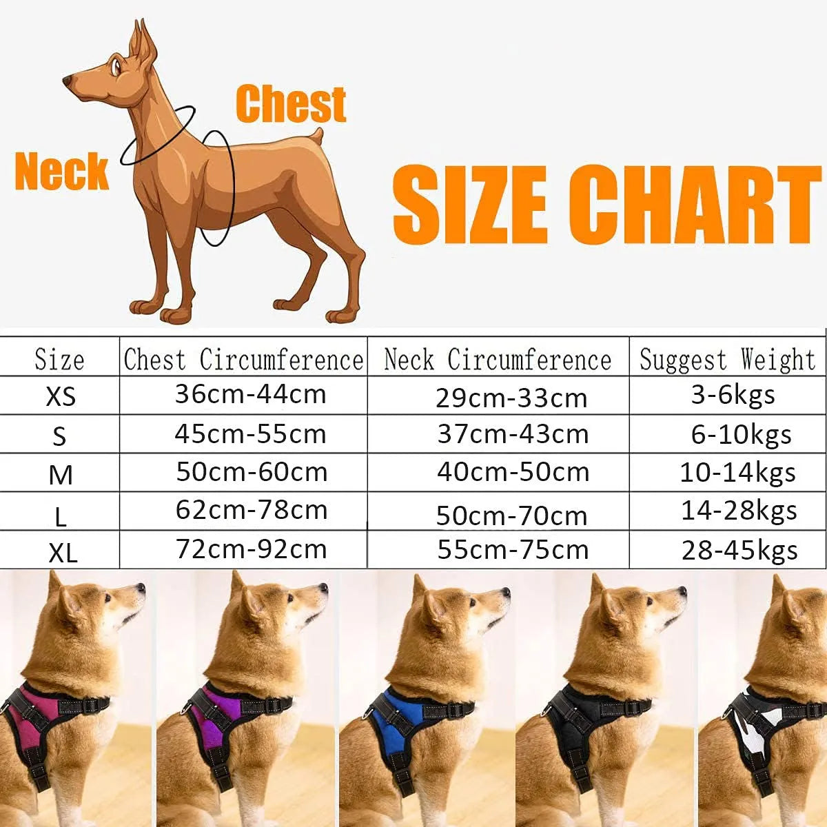  Black Cats No Pull Dog Harness with Handle – Petspalz Petspalz