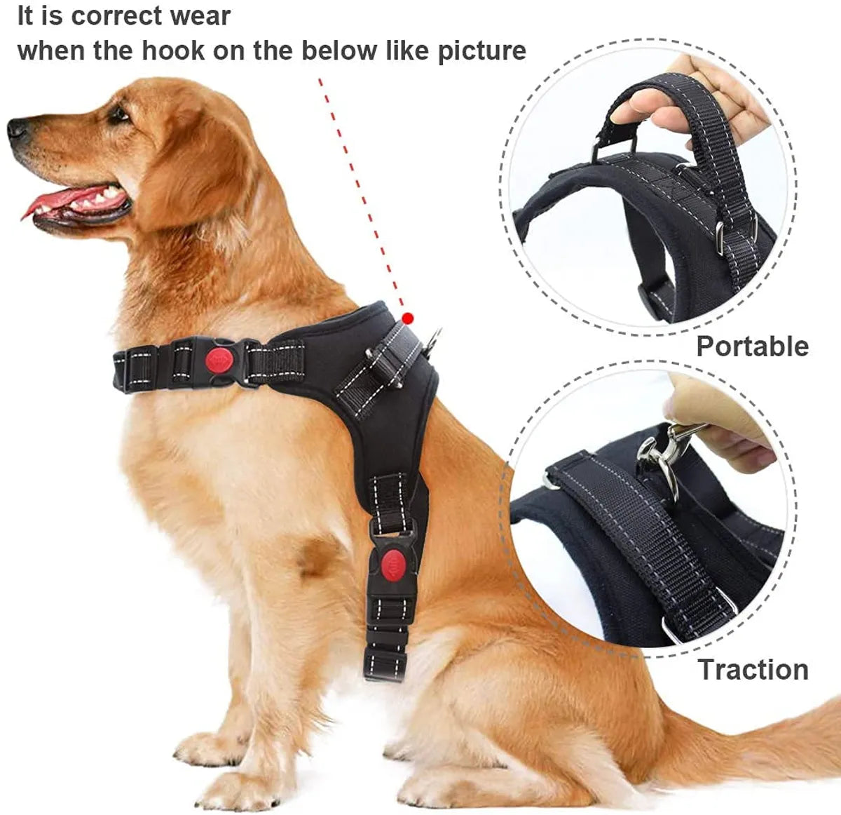  Black Cats No Pull Dog Harness with Handle – Petspalz Petspalz