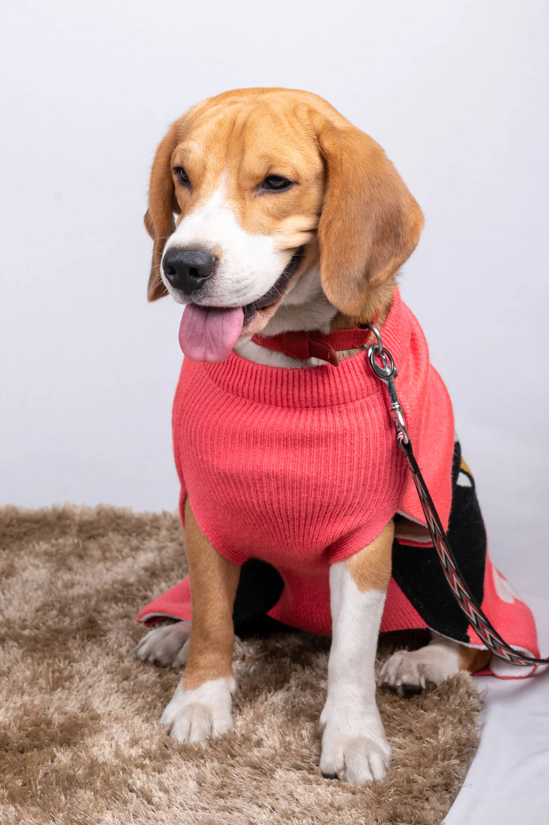  Bone & Paws Dog Sweater | Warm Winter Pet Clothes for Dogs & Cats Petspalz