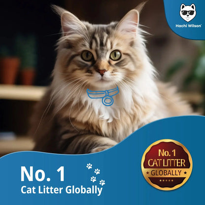Natural Cat Litter 100% Bentonite.
