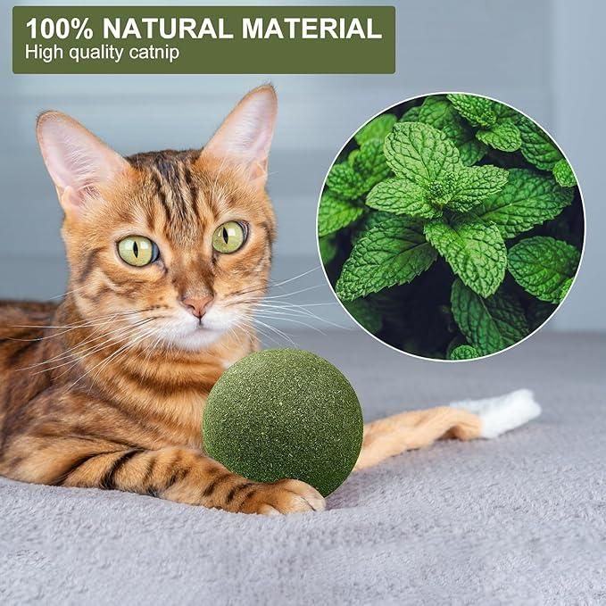  Cat Mint Toy Ball e31d79-4