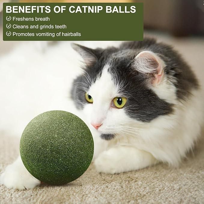 Cat Mint Toy Ball e31d79-4