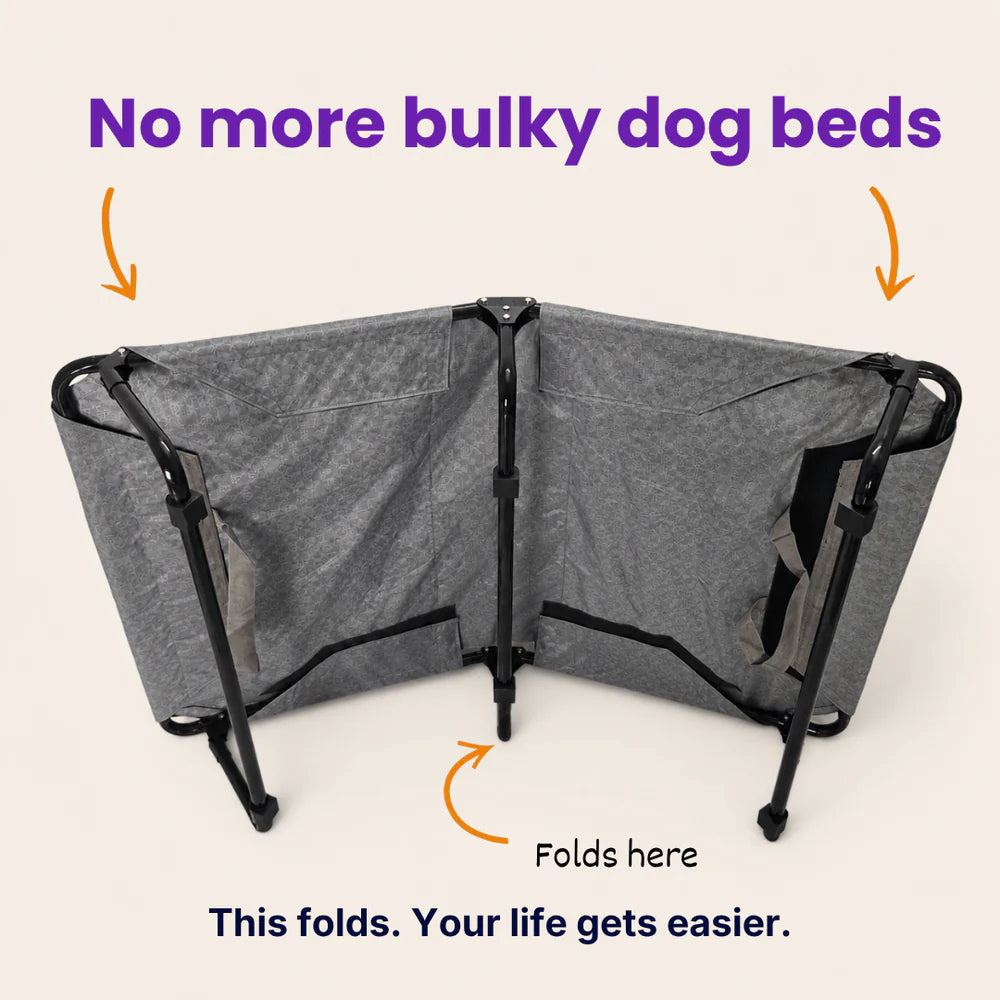 Chew resistant elevated dog bed waterproof foldable cooling pet cot