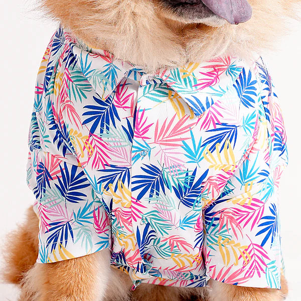 Chow Chow dog wearing a floral printed shirt design from the latest collection of printed shirts for dogs. Stylish pet apparel for summer fashion.