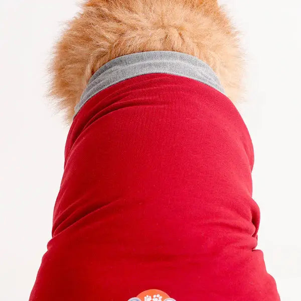 Buy Polo Dog Tshirt for all dog sizes and breeds in vibrant maroon with grey trim, made from 100% cotton for comfort and durability.