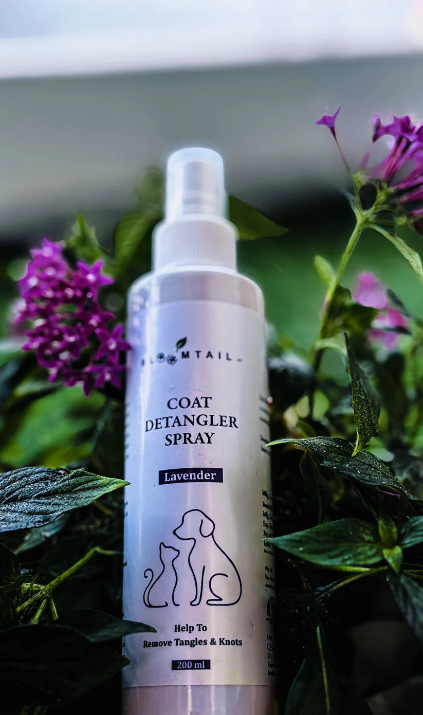  Coat Detangler Spray for Dogs – Lavender Scent | 200ml | Petspalz Petspalz
