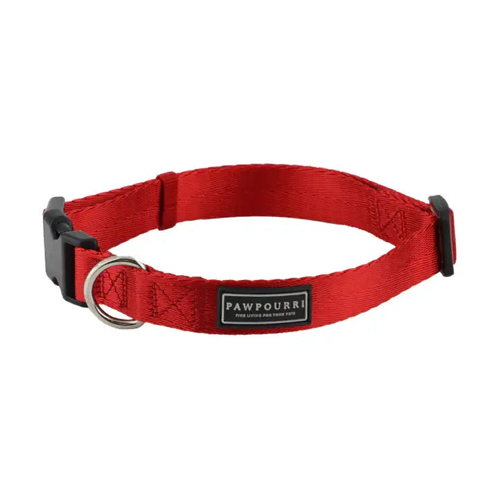  Collars for Dogs & Cats  - Petspalz Petspalz