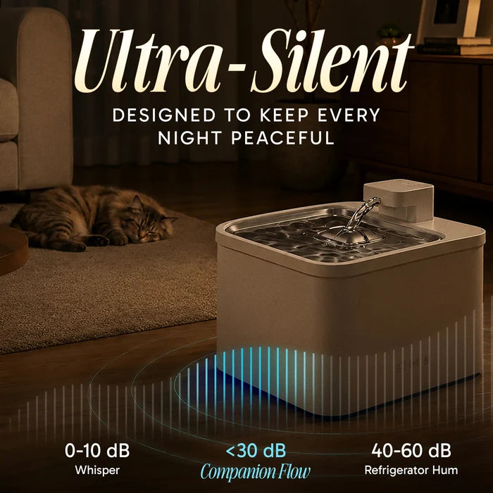 Companion Flow pet water fountain beside a resting cat, with a graphic advertising operation below 30 dB
