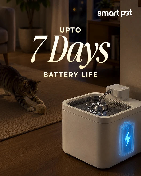 Companion Flow wireless pet water fountain with a graphic stating up to 7 days of battery life