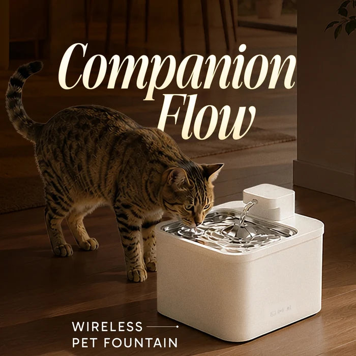 at drinking from a white Companion Flow wireless pet water fountain by Smart Pet