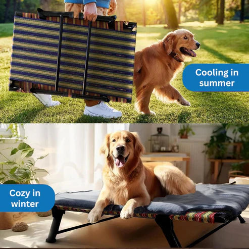 Folding Elevated Cat & Dog Bed | Breathable Cooling Pet Bed with Waterproof Mesh