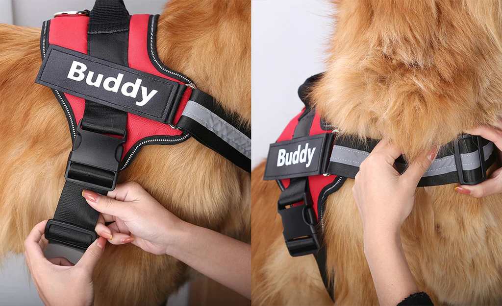  Customized Dog Harness | Easy Strap & Leash Handle India Petspalz