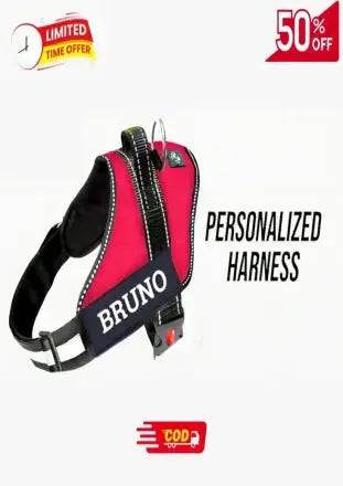 Customized Dog Harness with Easy Strap and Leash Handle India