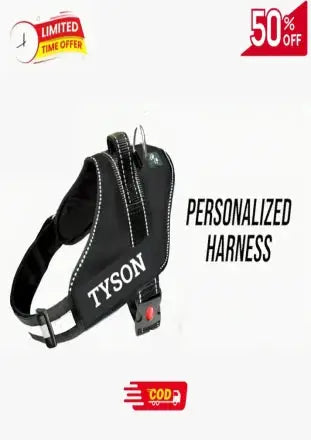 dog harness with leash handle - Petspalz