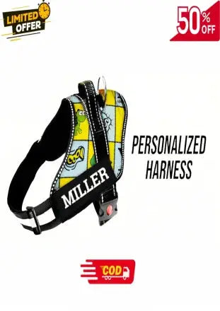 no-pull dog harness India  Petspalz