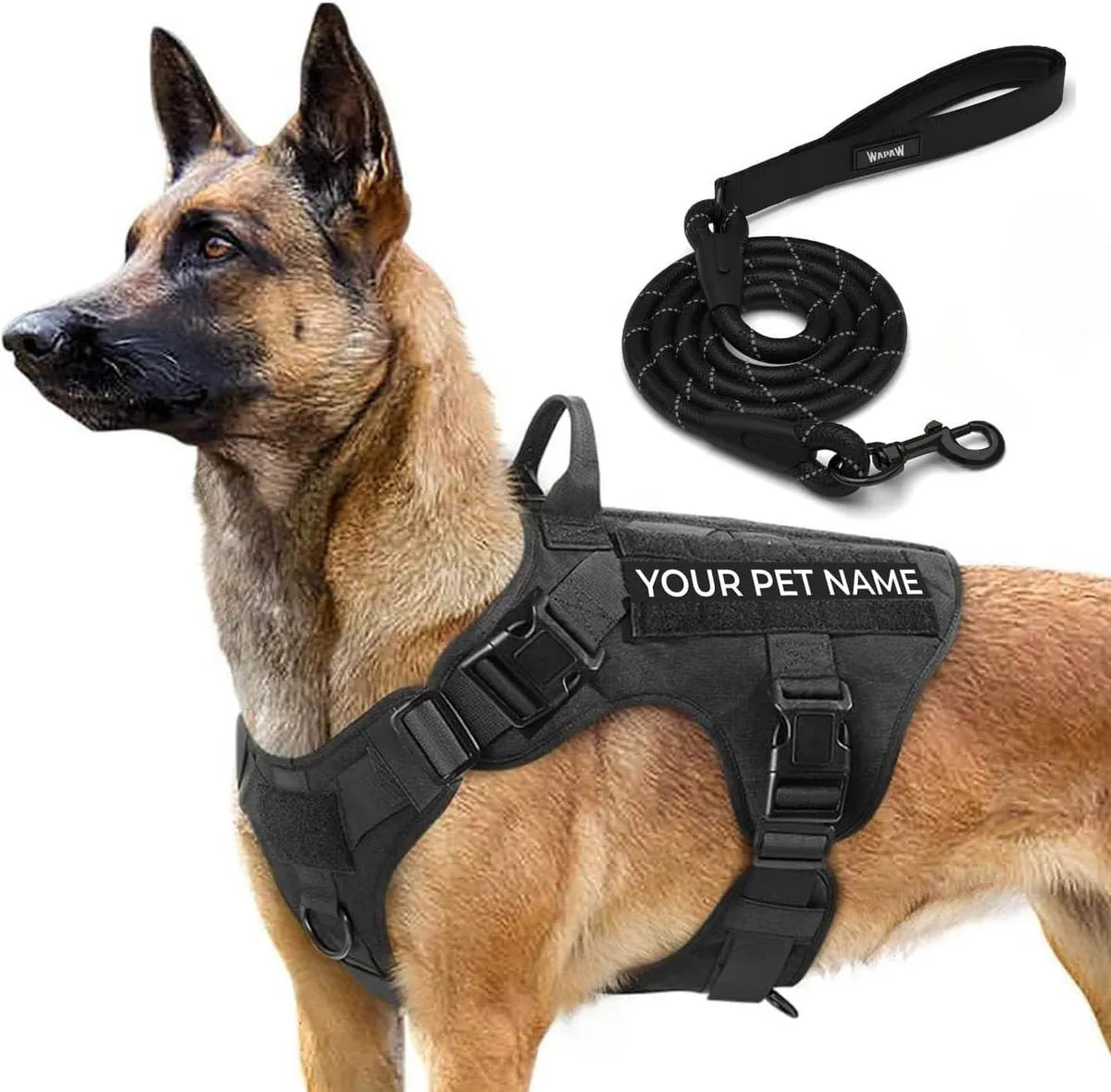  Customized Pet Name Tactical No-Pull Dog Harness with Rope Leash Petspalz