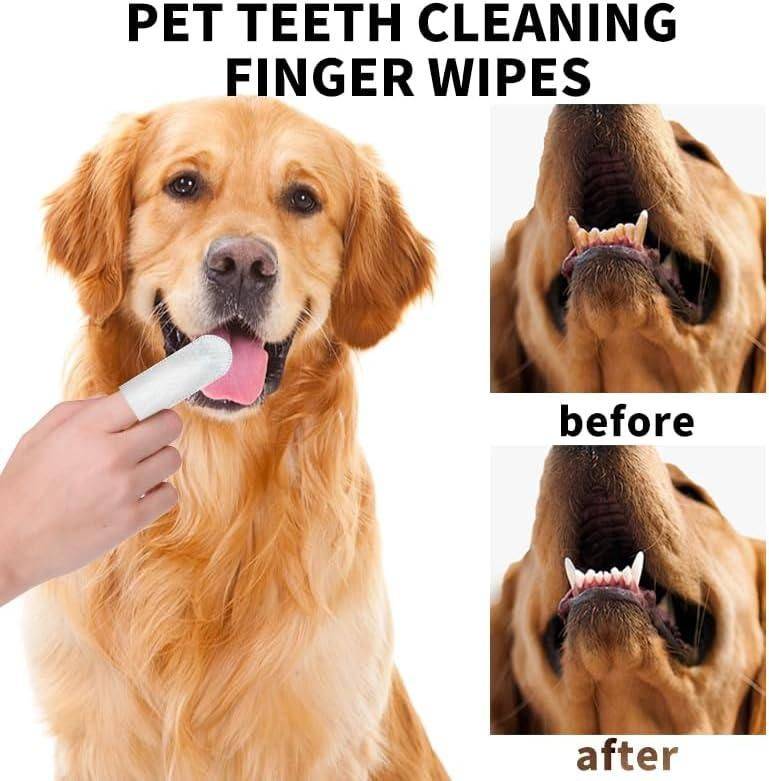  Disposable Dental Finger Wipes For Pets  Petspalz