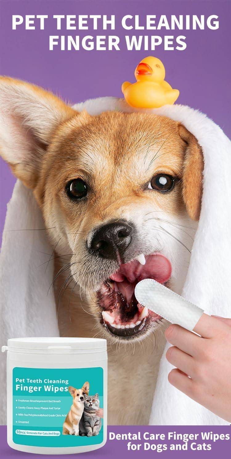  Disposable Dental Finger Wipes For Pets  Petspalz