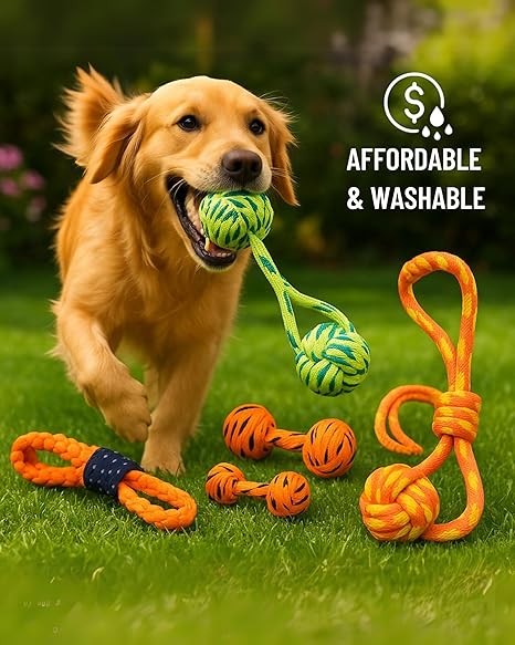 Durable interactive toy for dogs – safe and fun