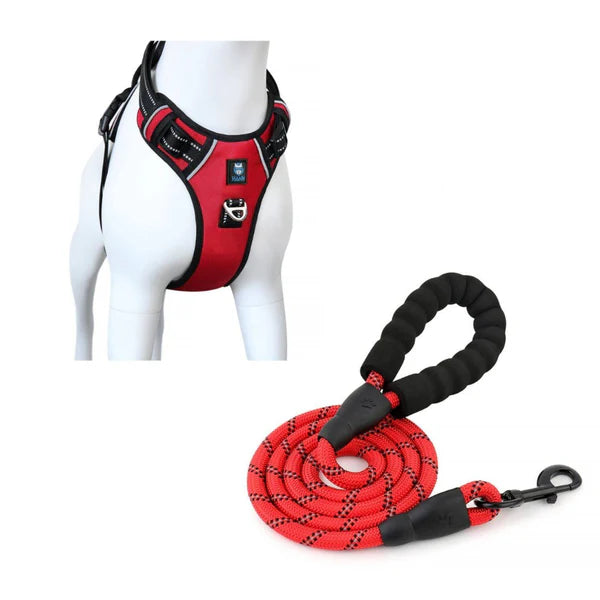  Dog Harness & Leash Combo Large | Durable No-Pull Set Petspalz