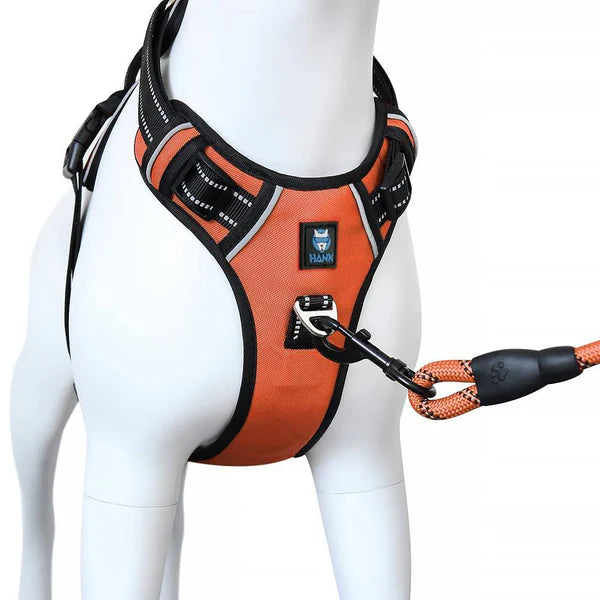  Dog Harness & Leash Combo Large | Durable No-Pull Set Petspalz