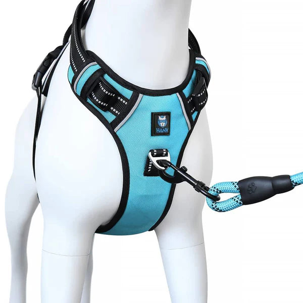  Dog Harness & Leash Combo Large | Durable No-Pull Set Petspalz