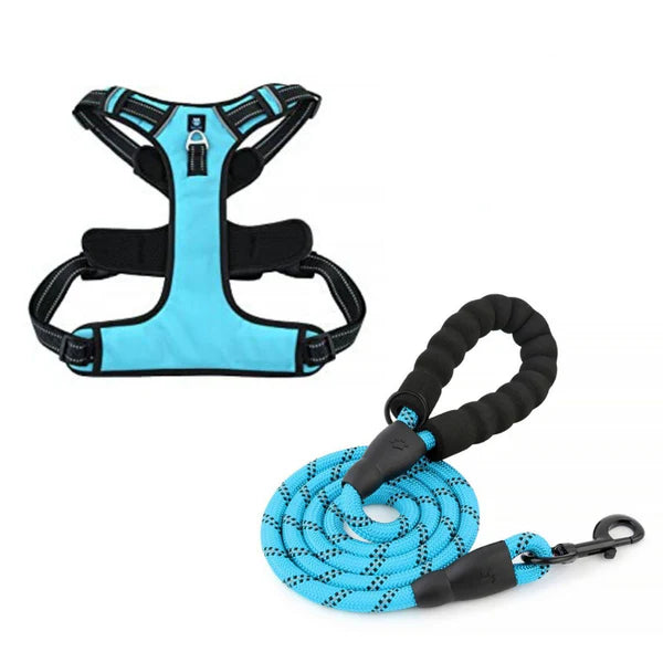  Dog Harness & Leash Combo Large | Durable No-Pull Set Petspalz