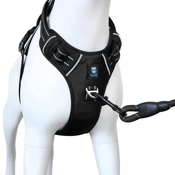 Dog Harness & Leash Combo Large | Durable No-Pull Set Petspalz