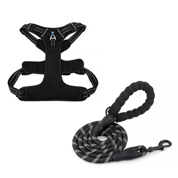  Dog Harness & Leash Combo Large | Durable No-Pull Set Petspalz