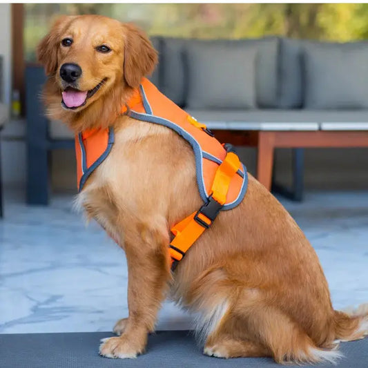   Premium and Latest Design Dog Harness Petspalz
