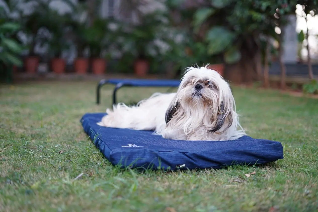  Dog Mattress - Denim Dog Mattress Petspalz
