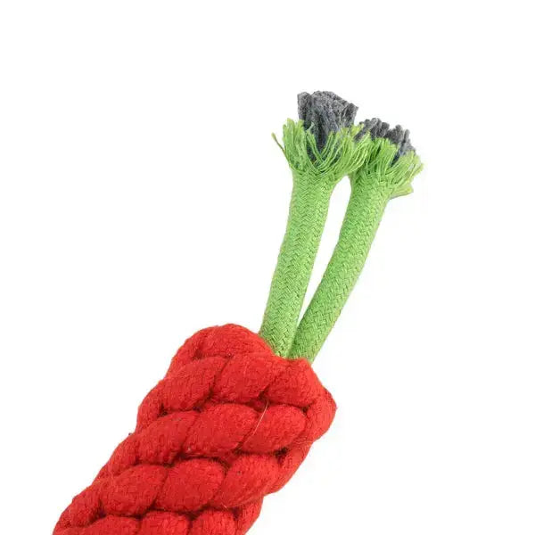  Carrot Rope Toy for Dogs | Durable, Fun, and Chewable Dog Toy  Petspalz