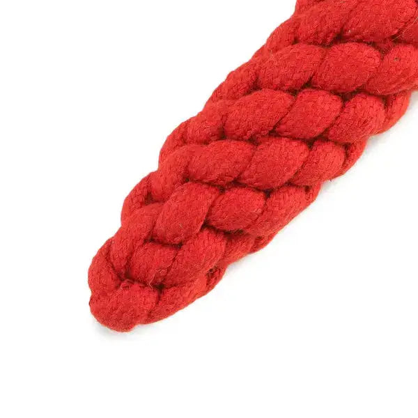  Carrot Rope Toy for Dogs | Durable, Fun, and Chewable Dog Toy  Petspalz
