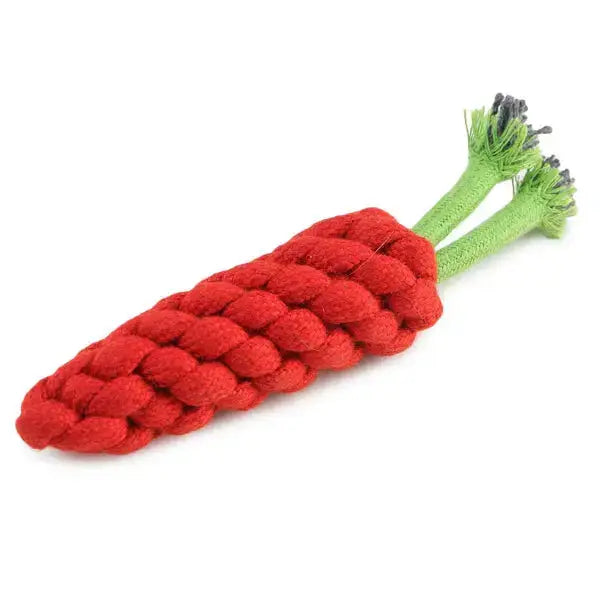  Carrot Rope Toy for Dogs | Durable, Fun, and Chewable Dog Toy  Petspalz