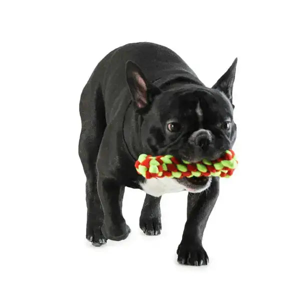 Dog Toy - Chew Bone Teether for dogs  Durable, Safe, and Fun Dog Toy  Petspalz
