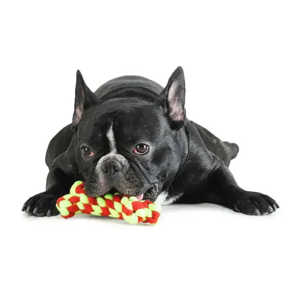 Dog Toy - Chew Bone Teether for dogs  Durable, Safe, and Fun Dog Toy  Petspalz