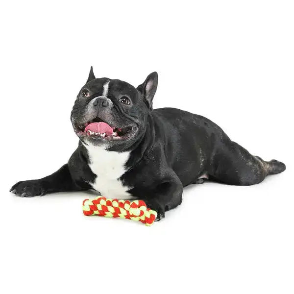  Dog Toy - Chew Bone Teether for dogs  Durable, Safe, and Fun Dog Toy  Petspalz