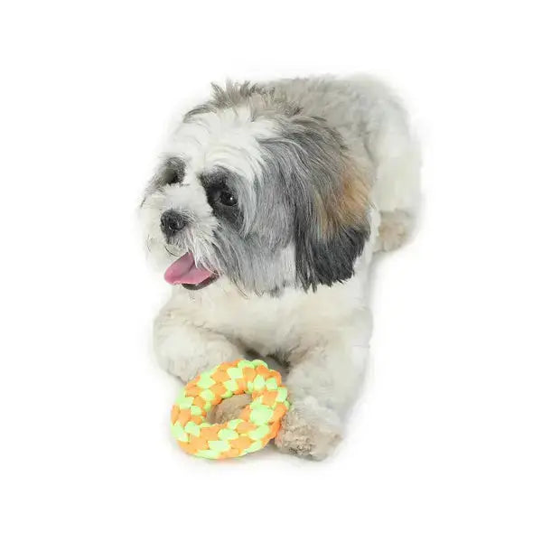  Best Dog Toy - Small Ring Teether for Your Pet  Safe, Durable & Fun  Petspalz