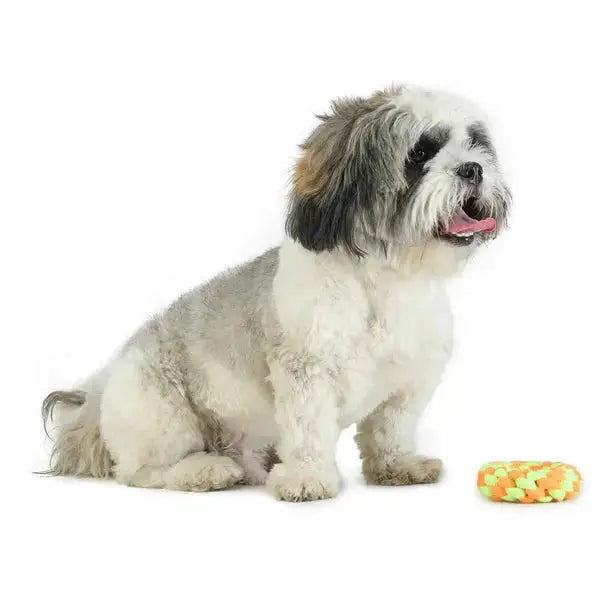  Best Dog Toy - Small Ring Teether for Your Pet  Safe, Durable & Fun  Petspalz