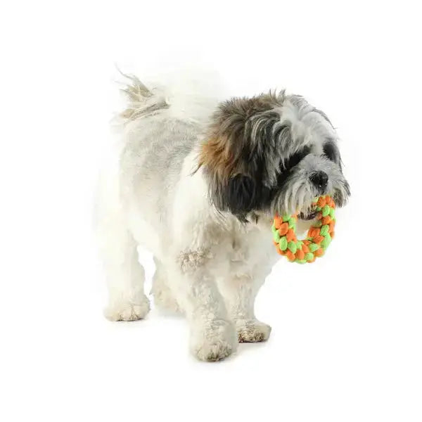  Best Dog Toy - Small Ring Teether for Your Pet  Safe, Durable & Fun  Petspalz