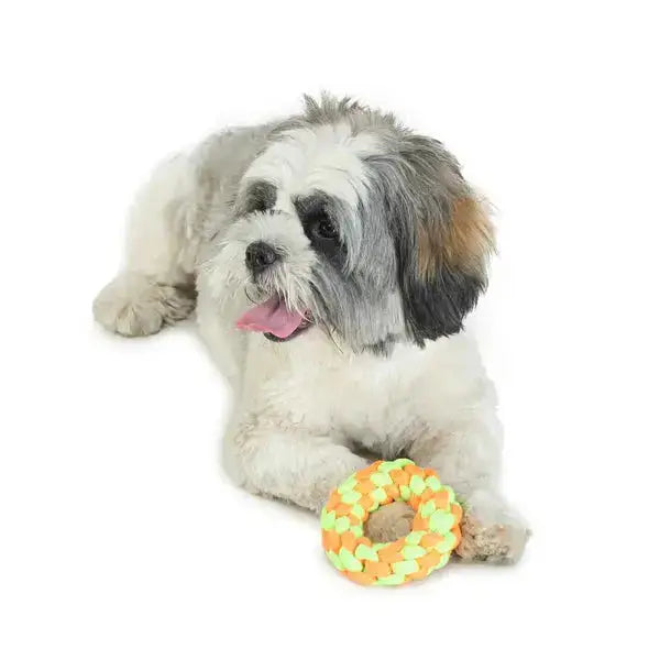  Best Dog Toy - Small Ring Teether for Your Pet  Safe, Durable & Fun  Petspalz