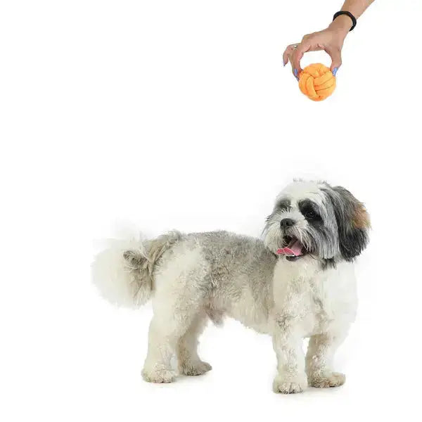 Dog Toy - dog chew ball for Playtime Fun for Your Pets - Petspalz Petspalz