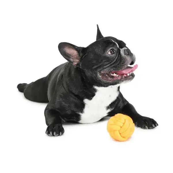  Dog Toy - dog chew ball for Playtime Fun for Your Pets - Petspalz Petspalz