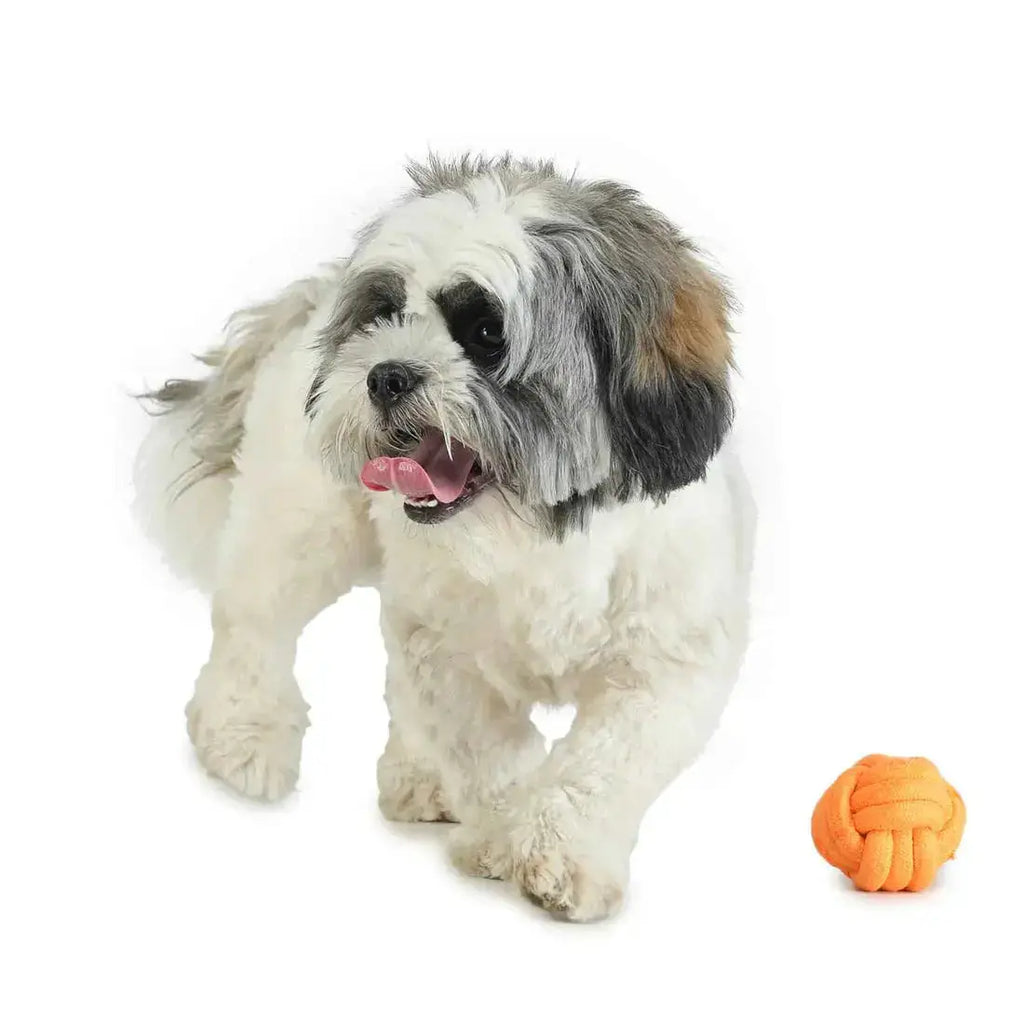  Dog Toy - dog chew ball for Playtime Fun for Your Pets - Petspalz Petspalz